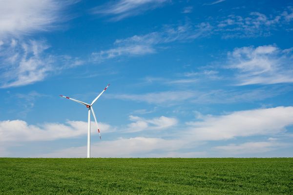Cinq stratégies innovantes pour la transition écologique durable
